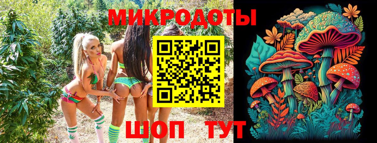 Галлюциногенные грибы Psilocybe  купить наркотики цена  Ишимбай  Вход с VPN 